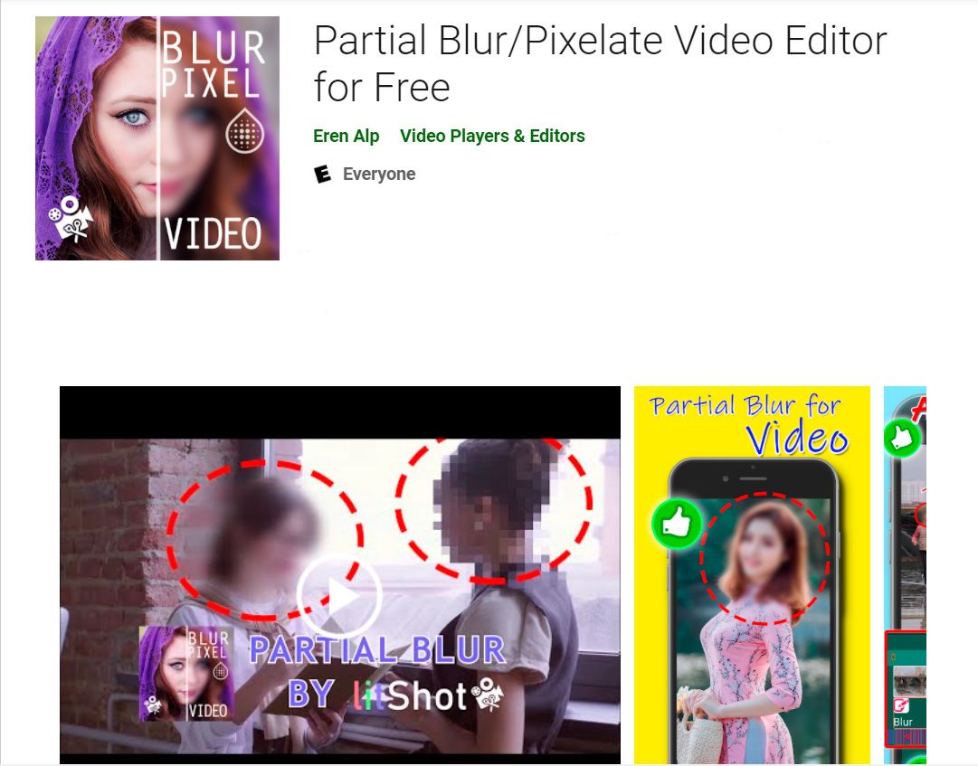 Partial Blur/Pixelate Video Editor..