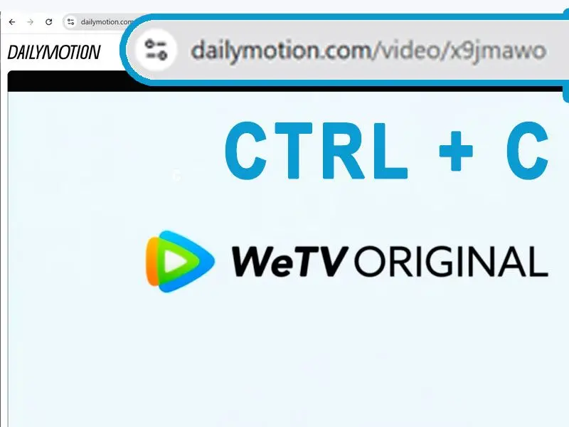 Kopioi ja liitä Dailymotion-videon URL-osoite.