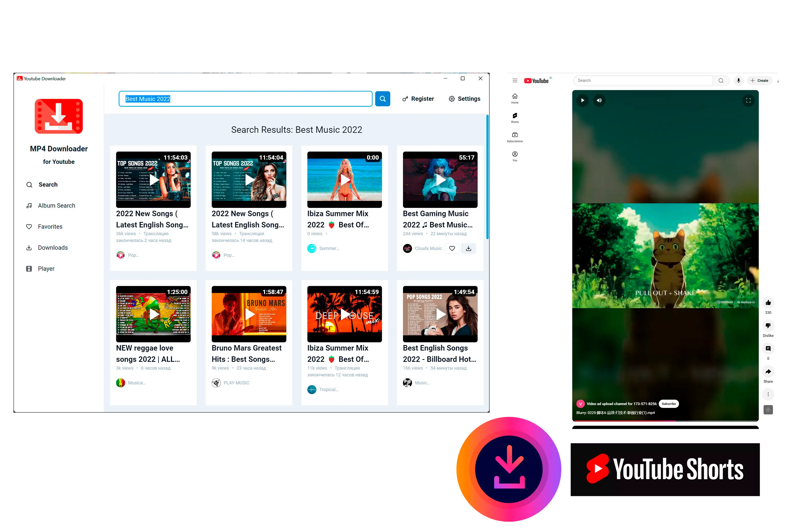 MP4 Downloader for Youtube Kuvakaappaus.